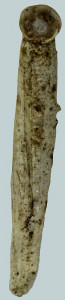 Coleophora meridionella (2)